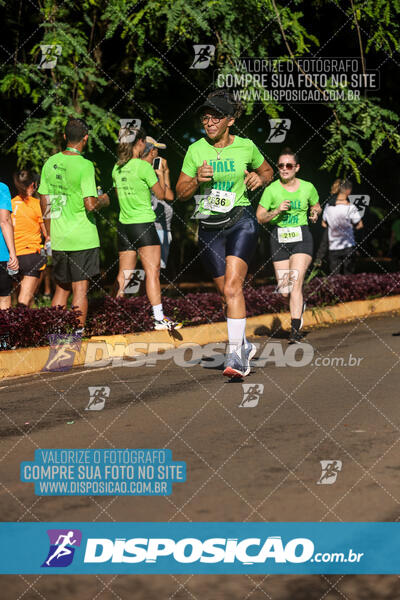 Vale Verde Run 2024