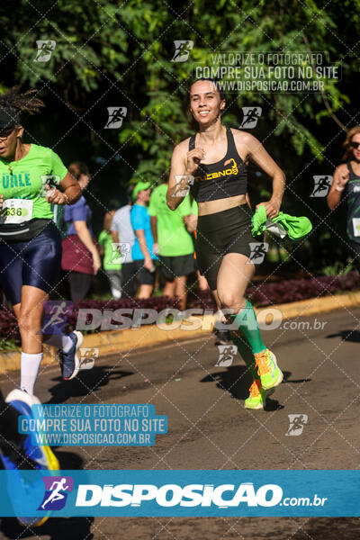 Vale Verde Run 2024