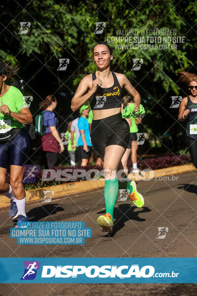 Vale Verde Run 2024