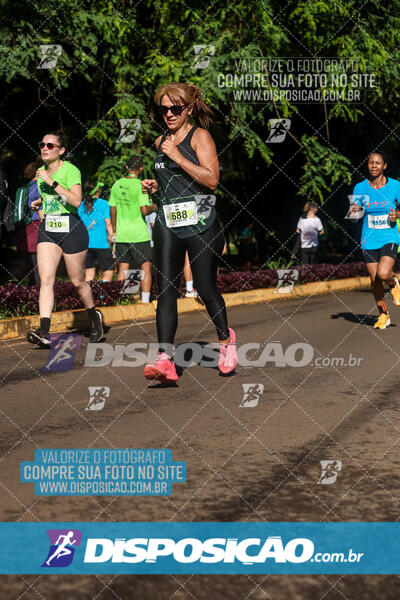 Vale Verde Run 2024