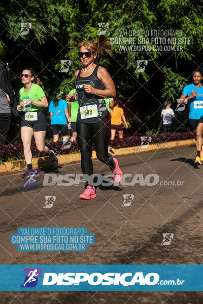 Vale Verde Run 2024