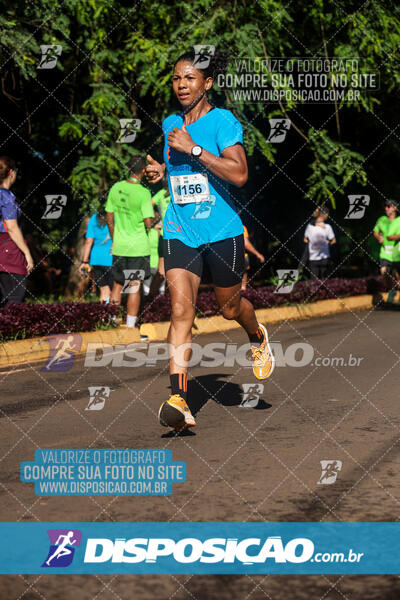 Vale Verde Run 2024