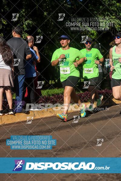 Vale Verde Run 2024