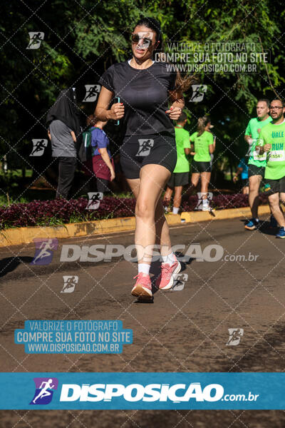 Vale Verde Run 2024