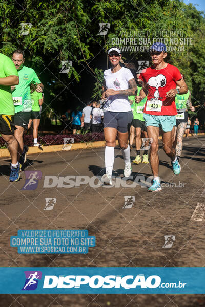 Vale Verde Run 2024