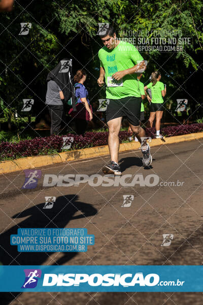 Vale Verde Run 2024