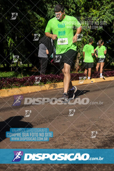 Vale Verde Run 2024