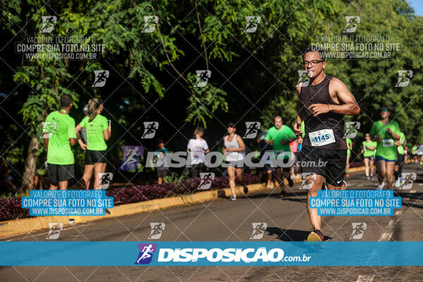 Vale Verde Run 2024