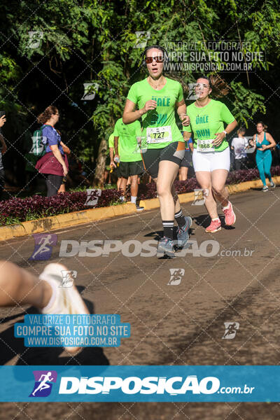 Vale Verde Run 2024