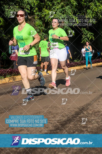 Vale Verde Run 2024