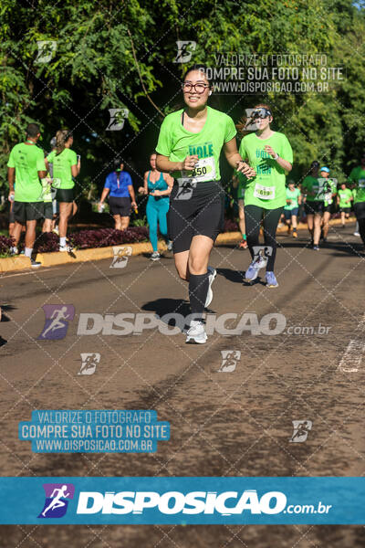 Vale Verde Run 2024