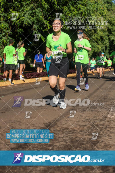 Vale Verde Run 2024