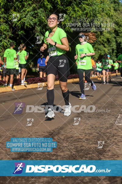 Vale Verde Run 2024