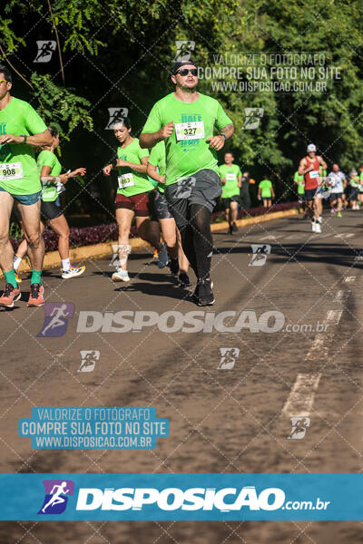 Vale Verde Run 2024