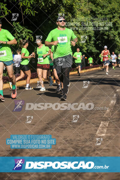 Vale Verde Run 2024