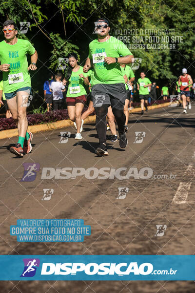 Vale Verde Run 2024