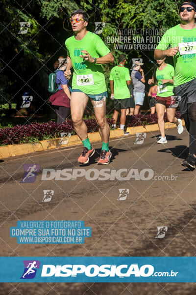 Vale Verde Run 2024