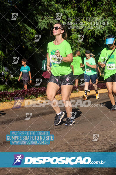 Vale Verde Run 2024