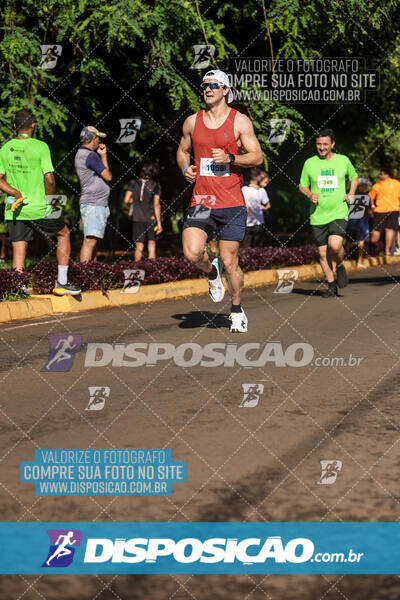 Vale Verde Run 2024