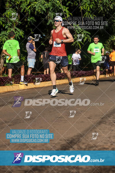 Vale Verde Run 2024