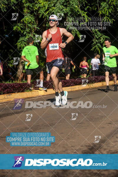 Vale Verde Run 2024