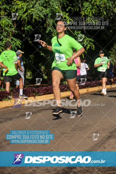 Vale Verde Run 2024