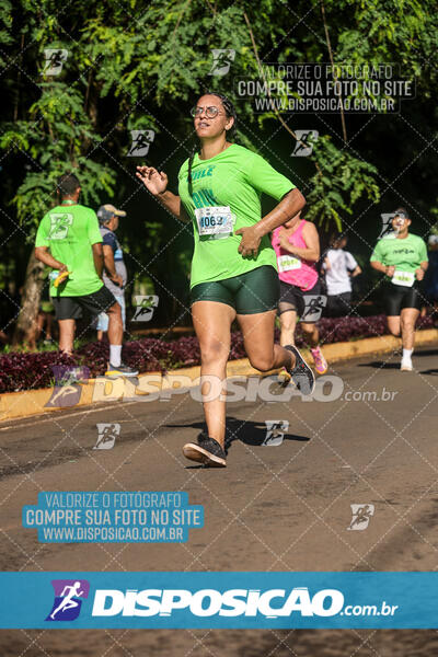 Vale Verde Run 2024