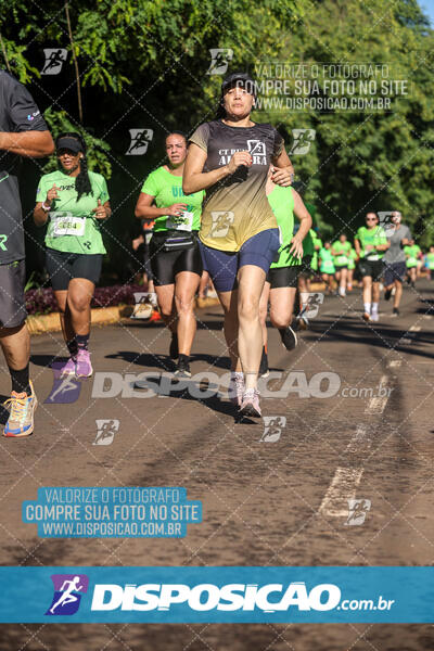 Vale Verde Run 2024