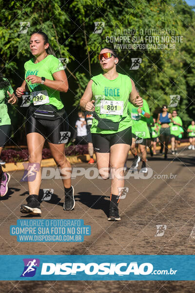 Vale Verde Run 2024