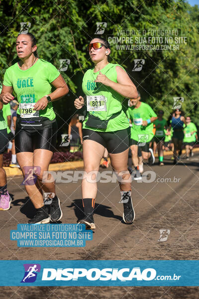 Vale Verde Run 2024