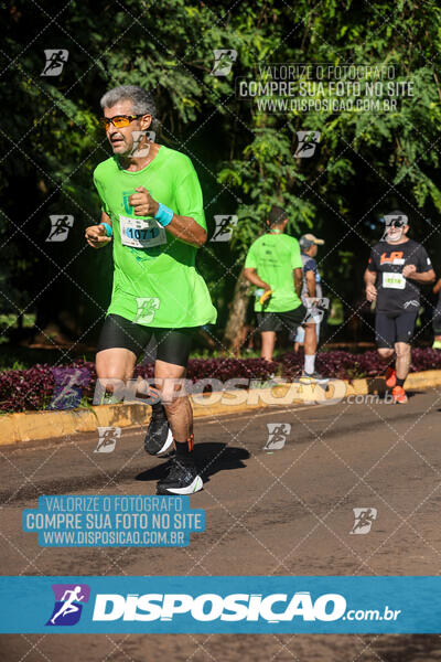 Vale Verde Run 2024