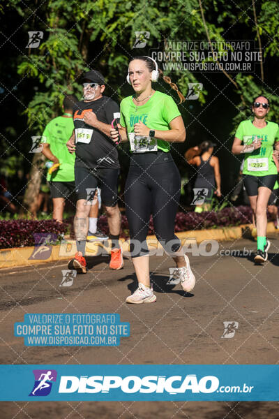 Vale Verde Run 2024