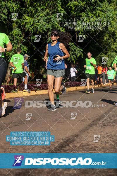 Vale Verde Run 2024