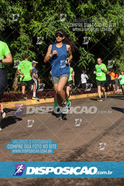 Vale Verde Run 2024