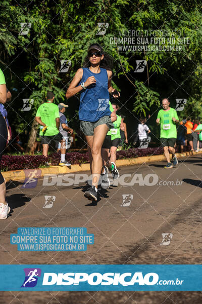 Vale Verde Run 2024