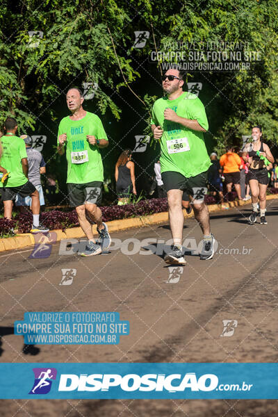 Vale Verde Run 2024