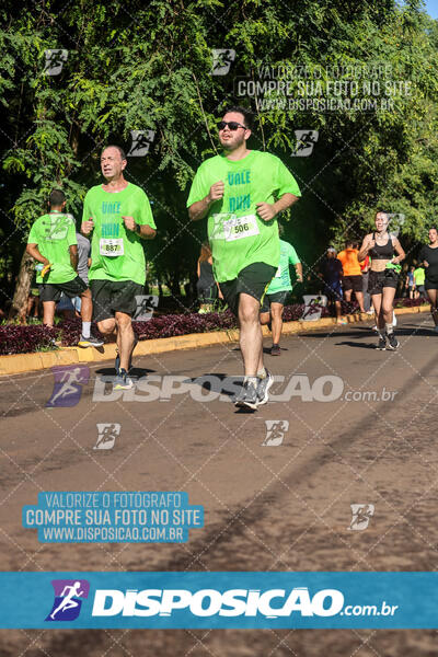 Vale Verde Run 2024