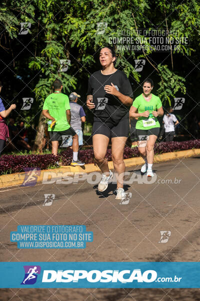 Vale Verde Run 2024