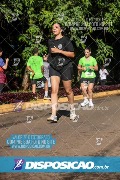 Vale Verde Run 2024