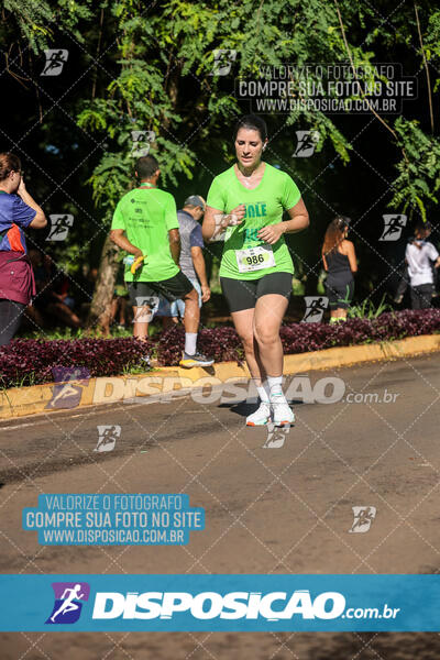 Vale Verde Run 2024