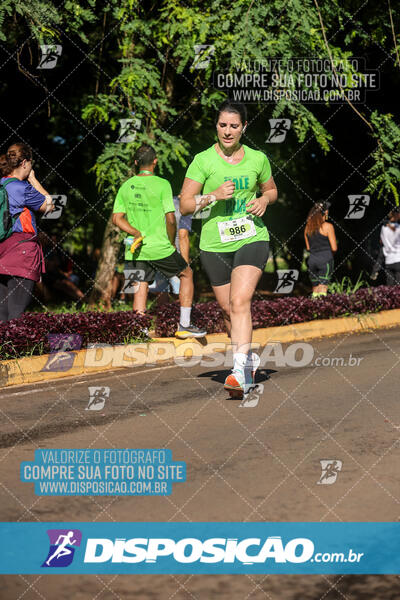 Vale Verde Run 2024