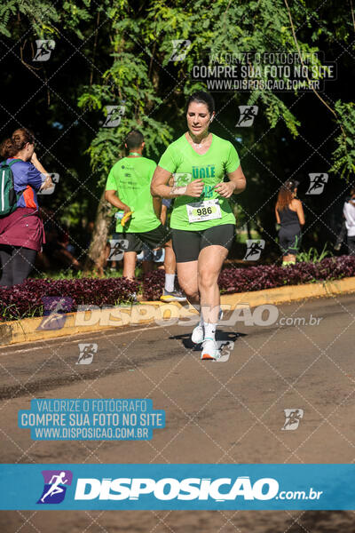 Vale Verde Run 2024