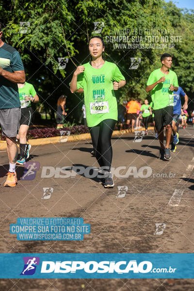 Vale Verde Run 2024