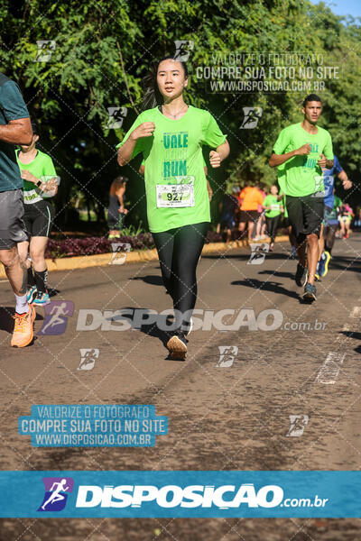 Vale Verde Run 2024