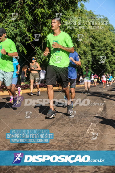 Vale Verde Run 2024