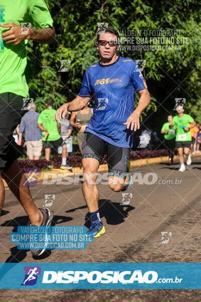 Vale Verde Run 2024