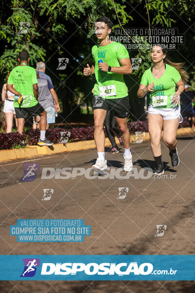 Vale Verde Run 2024