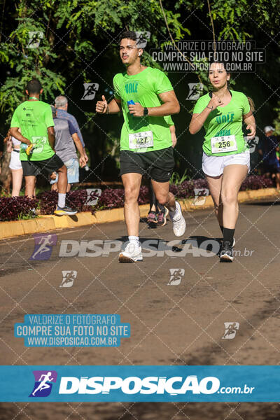 Vale Verde Run 2024