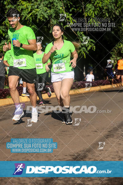 Vale Verde Run 2024