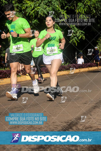 Vale Verde Run 2024